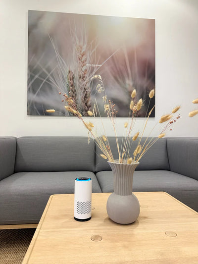 ARINDIR™ Hava Temizleyici