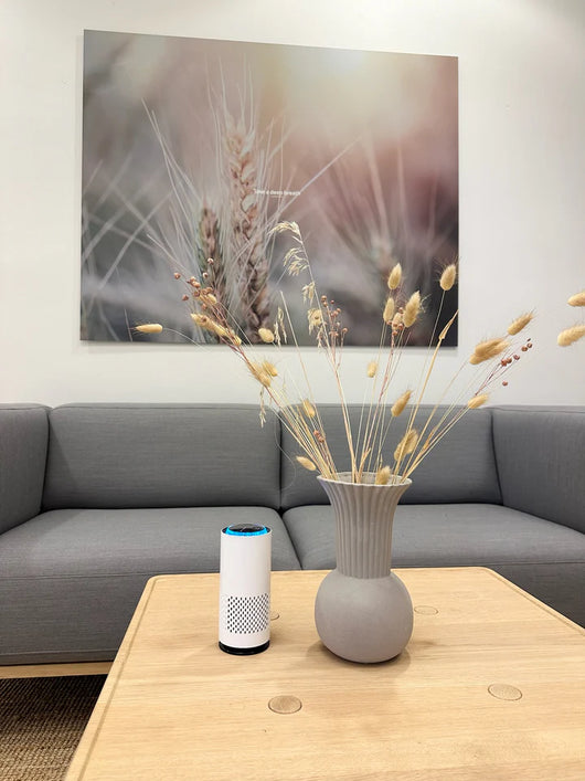 ARINDIR™ Hava Temizleyici